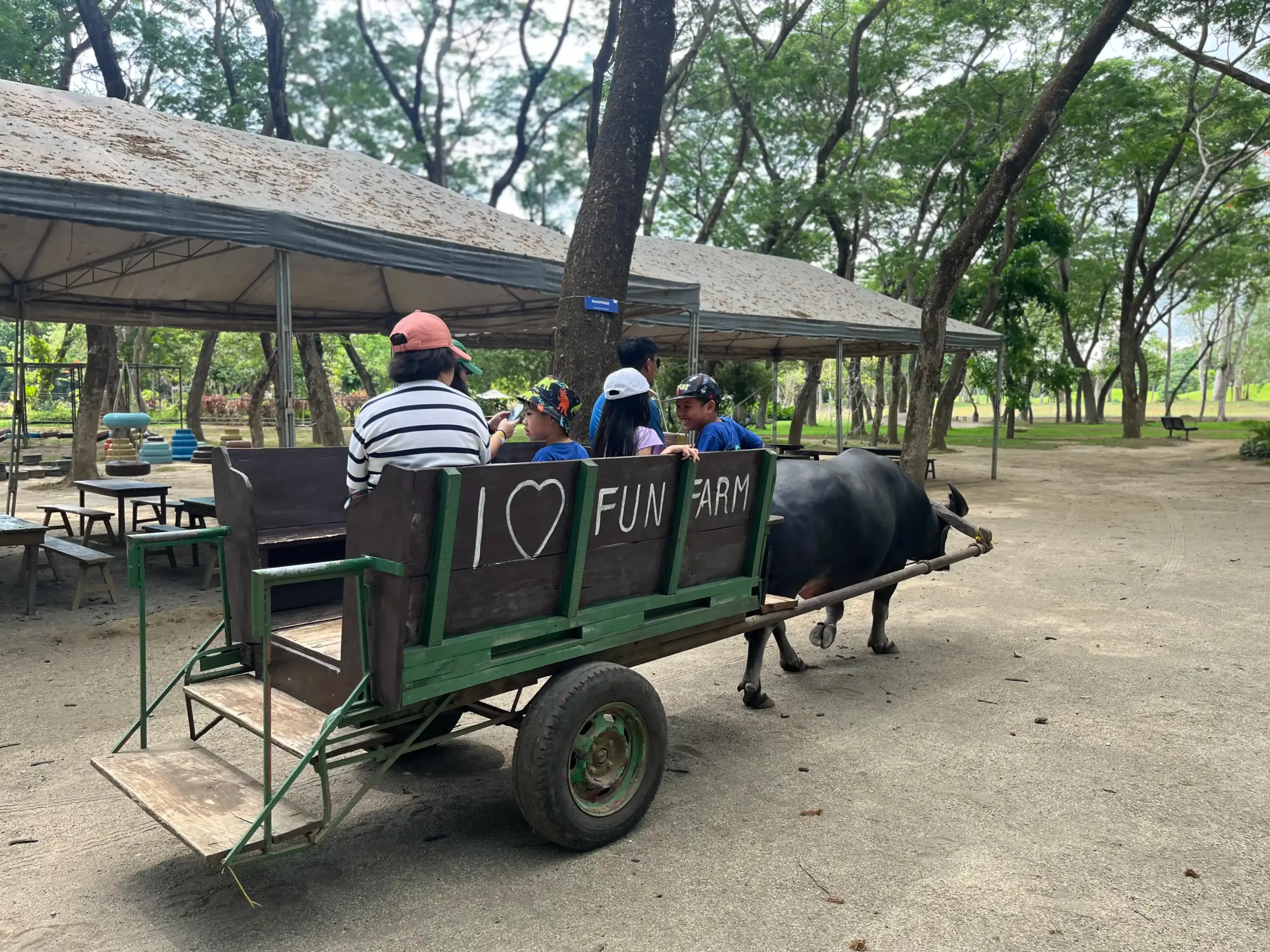 Child riding a carabao with guide at The Fun Farm Sta. Elena