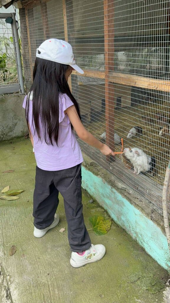 The Fun Farm at Sta. Elena
