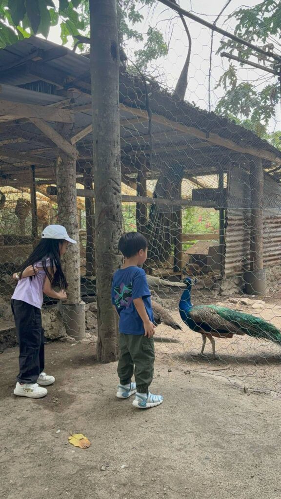The Fun Farm at Sta. Elena