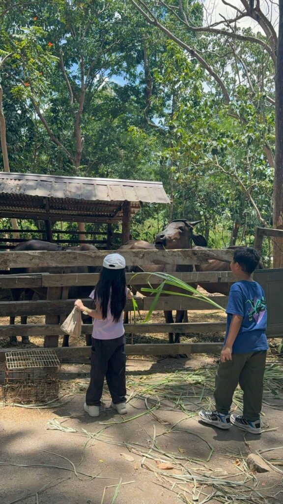 The Fun Farm at Sta. Elena